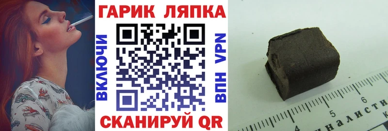 дарнет шоп  Перевоз  ГАШ Premium 
