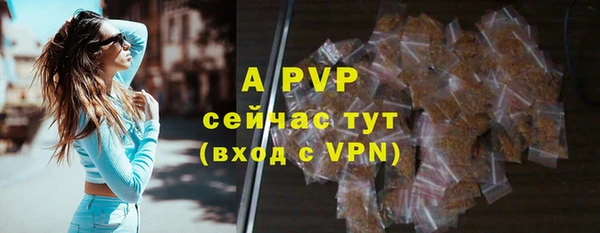 бошки Гусев