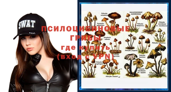 бошки Гусев