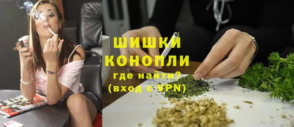 бошки Гусев