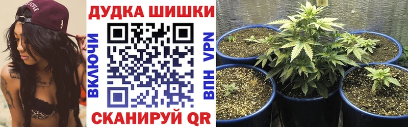 hydra зеркало  Перевоз  Шишки марихуана Amnesia 
